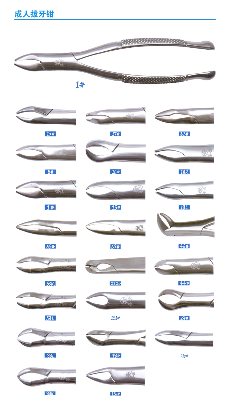 星齿/上海伟荣 成人拔牙钳 44